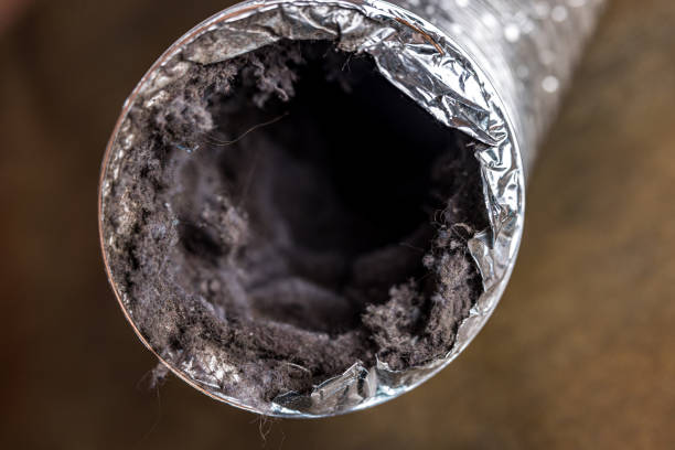 Best HVAC Duct Inspection Services  in Fairview Shores, FL