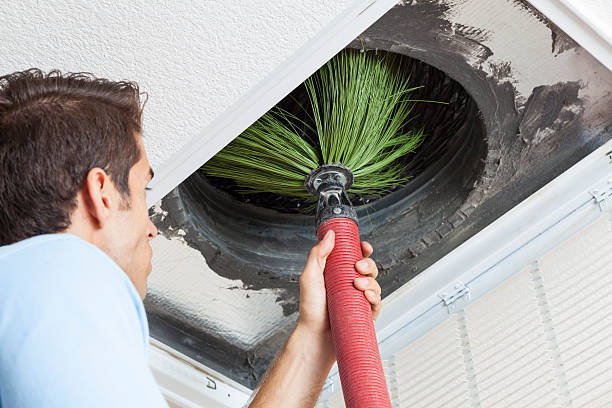 Best Home Air Vent Cleaning  in Fairview Shores, FL